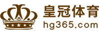 Logo MG电子